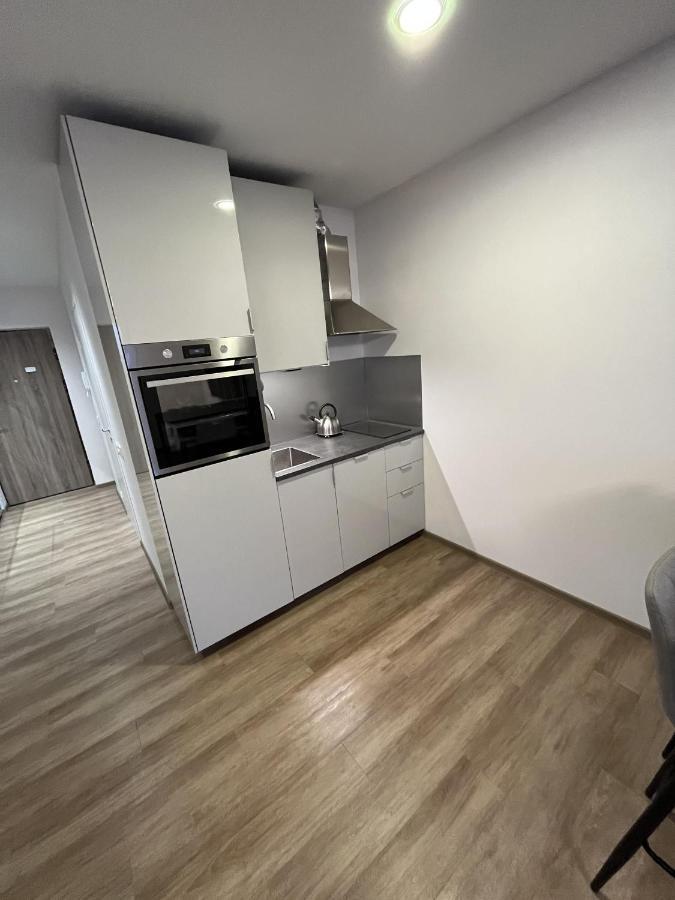 דירות Lovely Flat With Great Central Location וילנה מראה חיצוני תמונה