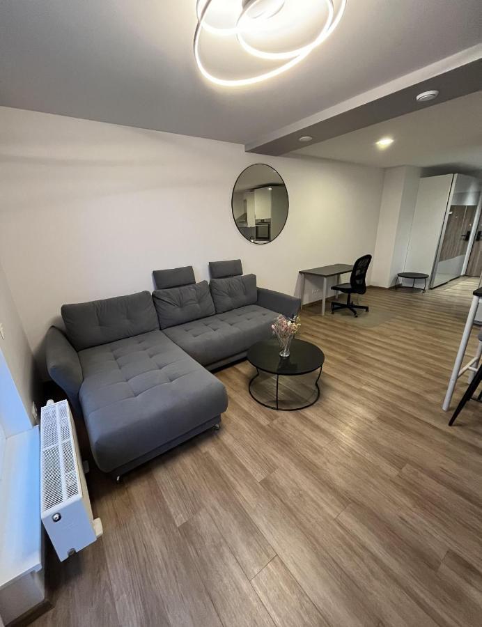 דירות Lovely Flat With Great Central Location וילנה מראה חיצוני תמונה